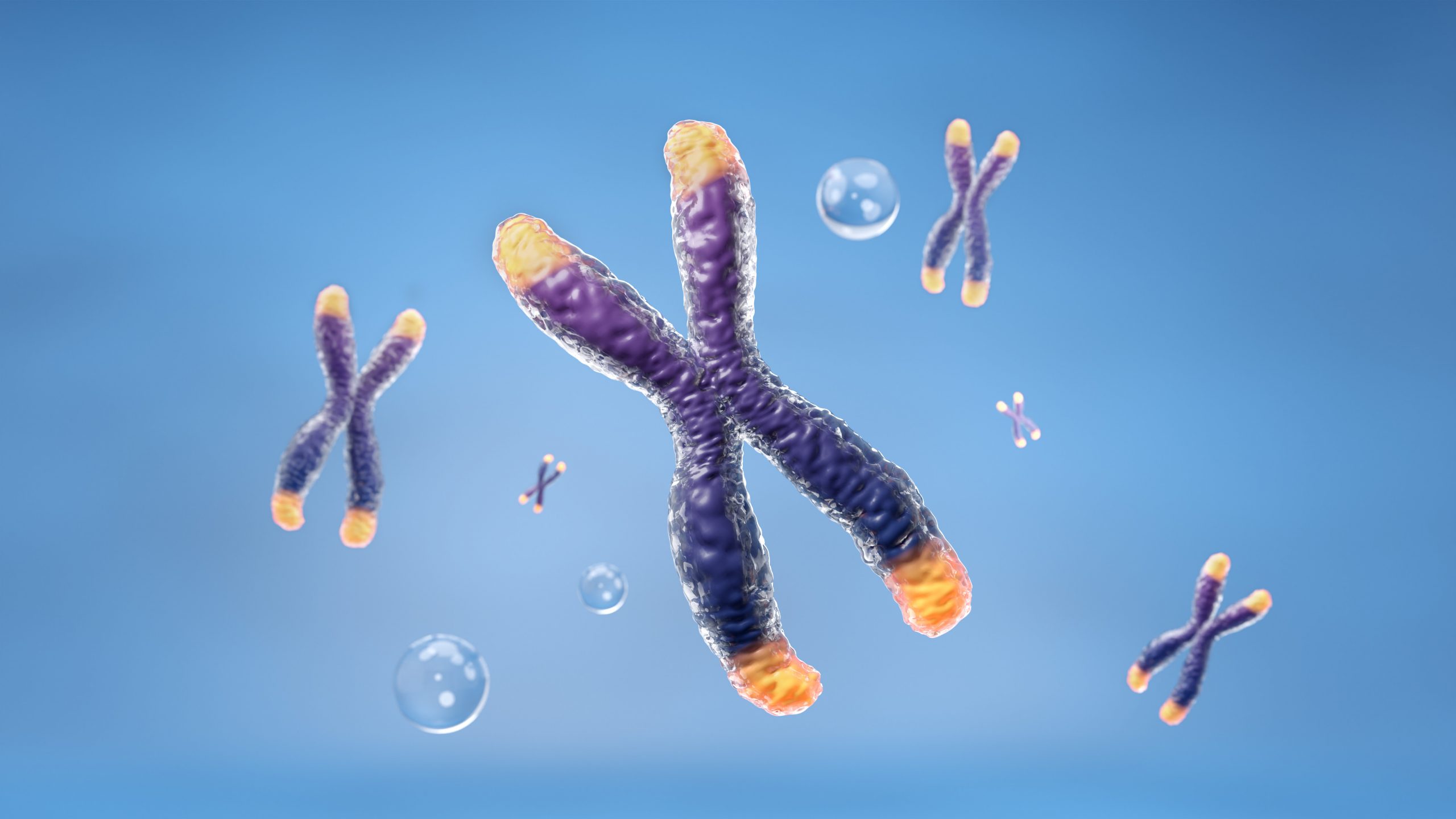 NMN Increases Telomere Length In Middle aged People NADIOL