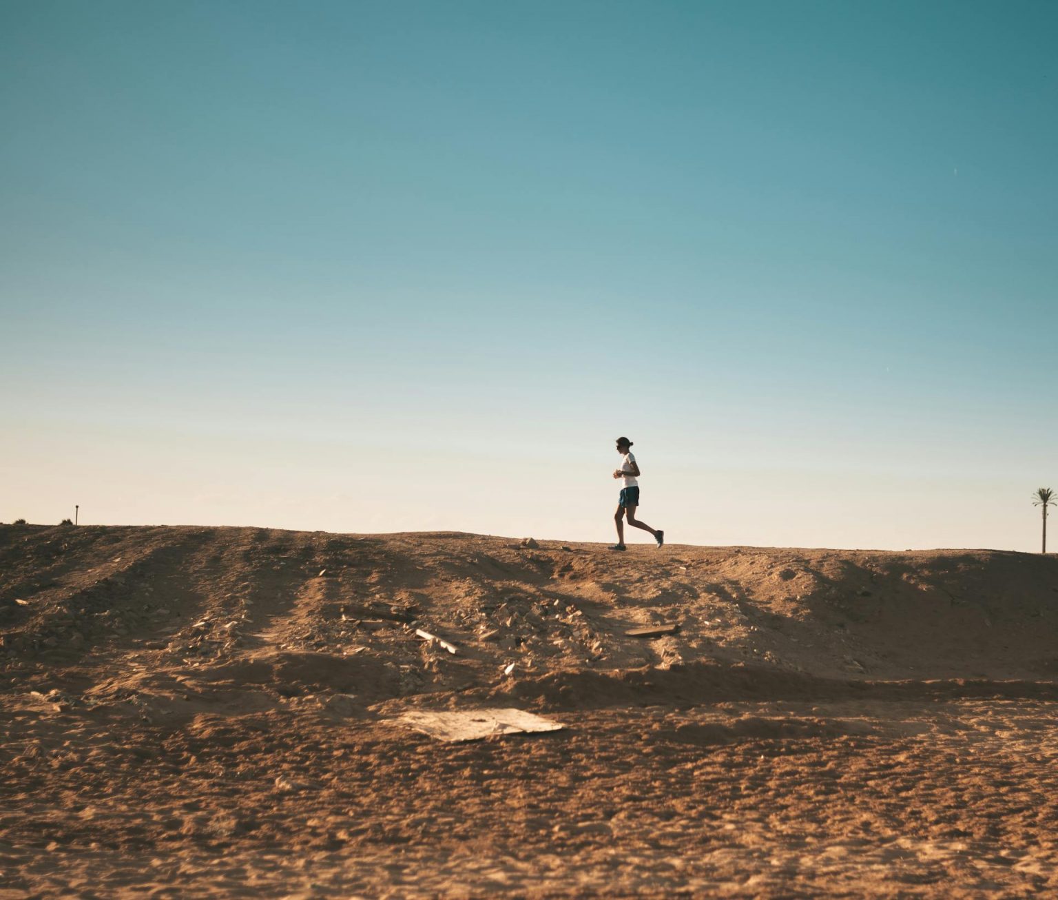 HOW TO INCREASE STAMINA AND ENDURANCE FAST visual data 2